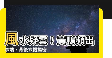 黃鴨 風水|【黃鴨 風水】風水疑雲！黃鴨頻出事端，背後玄機揭密 – 每日新。